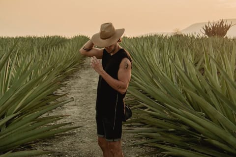 El viaje del mezcal — photo 1