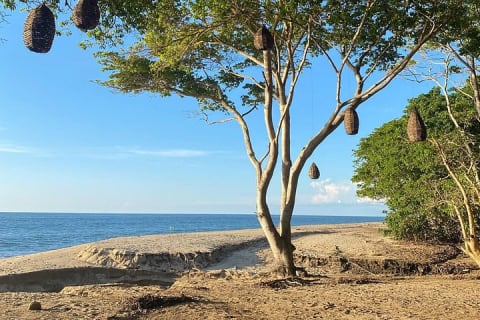 Experiencia de senderismo y yoga en la selva en México — photo 4