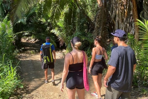 Experiencia de senderismo y yoga en la selva en México — photo 5