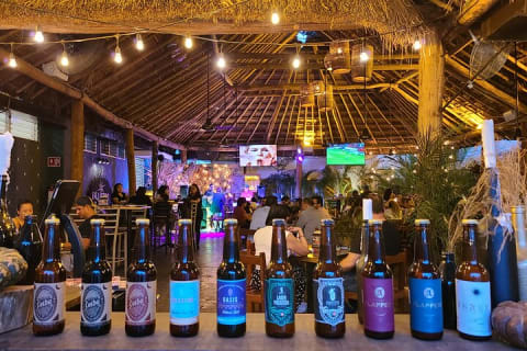 Bar hopping tour in Merida — photo 5