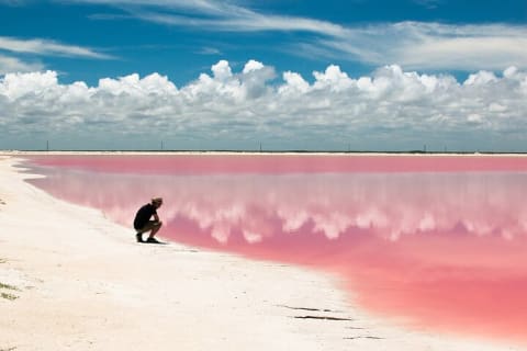 Pink Lagoons Las Coloradas & Rio Lagartos Boat Tour from Tulum — photo 14