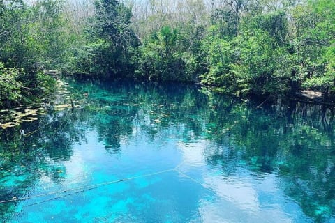 Tulum Area Experiences Guided ATV Tour to 3 Cenote's, Snorkel/Swim & Local Lunch — photo 7