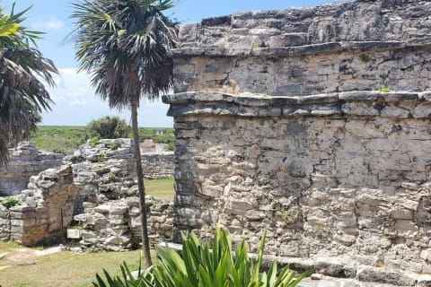 Tulum Ruins Scooter/ATV/E-Bike Tour, Snorkel/Swim/Paddle board Cenote + Lunch — photo 3