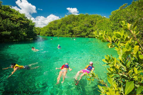 Tulum Area Experiences Guided Scooter Tour Snorkel/Swim Casa Cenote & Lunch — photo 1