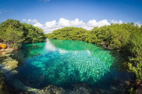 Tulum Area Experiences Guided Scooter Tour Snorkel/Swim Casa Cenote & Lunch — photo 4