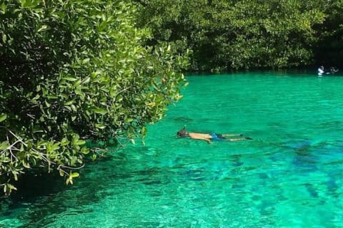Tulum Area Experiences Guided Scooter Tour Snorkel/Swim Casa Cenote & Lunch — photo 8