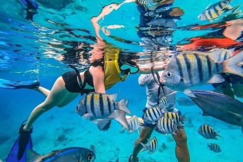 Amazing Snorkel at Cozumel Reef! Round Transportation from Tulum — photo 15