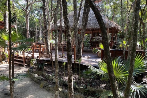 Tulum Area Guided ATV/Scooter Tour 2 Cenotes Snorkel/Swim + Jungle Cantina Lunch — photo 5