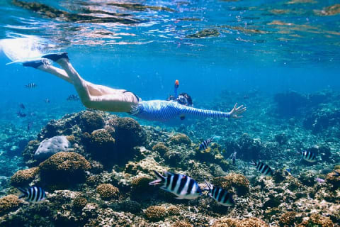 Reef Snorkeling with ATV, Zipline, Cenote that includes lunch and transportation — photo 1