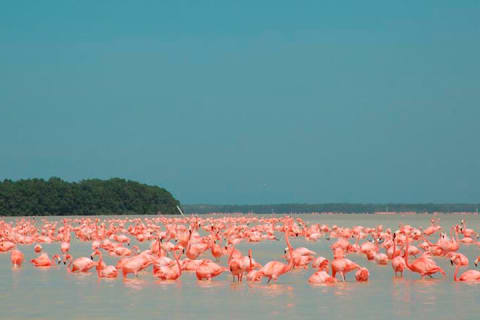 Explore Las Coloradas & Rio Lagartos from Mayan Riviera — photo 9