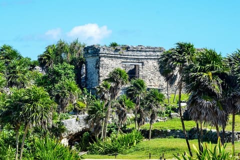 4X1 Tulum, Coba, Cenote, Playa del Carmen. With lunch & transport — photo 12