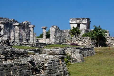 Akumal paradise tour Swimming with Turtles & ancient Tulum Ruins. Lunch included — photo 4