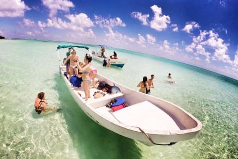 Sian Ka'an Biosphere the best nature experience with Transportation from Tulum — photo 12