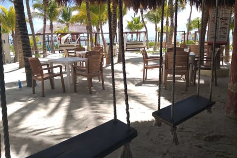 Full day tour in a Beach Club with Brunch in the Riviera Maya — photo 6
