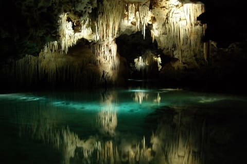 A secret river adventures tour. Explore the nature wonders of the Riviera Maya — photo 6