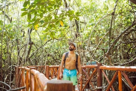 Tulum Ruins & Casa Tortuga Eco Tour! 4 Cenotes from Tulum City — photo 8