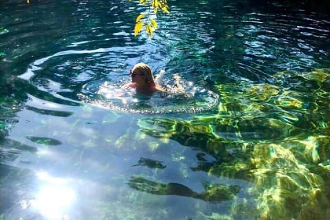 Tulum Ruins & Casa Tortuga Eco Tour! 4 Cenotes from Tulum City — photo 12