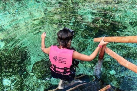 Tulum Ruins & Casa Tortuga Eco Tour! 4 Cenotes from Tulum City — photo 14