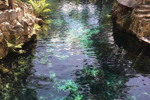 Tulum Ruins & Casa Tortuga Eco Tour! 4 Cenotes from Tulum City — photo 15