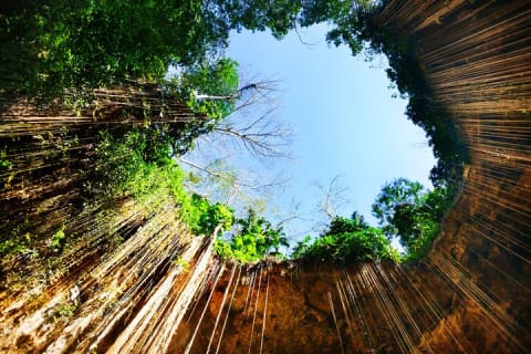 VIP tour to Chichen Itza, Hubiku & Ik Kil. Lunch and transport — photo 11