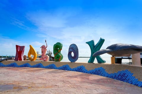Discover the Wonders of Holbox, Cenote and Passion Island. Transport included — photo 1