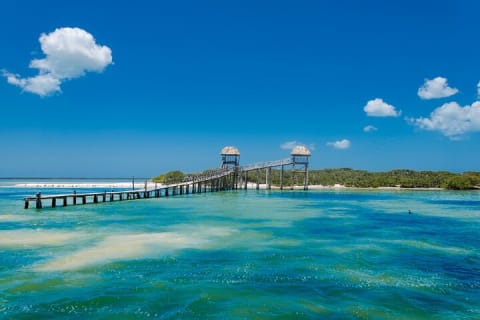 Awesome Holbox Tour. Ferry, Lunch & Punta Mosquito visit included — photo 5