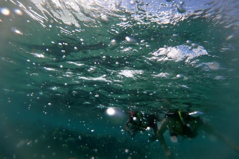 Reef Snorkel In National Park In Puerto Morelos With Lunch And Transportation — photo 10