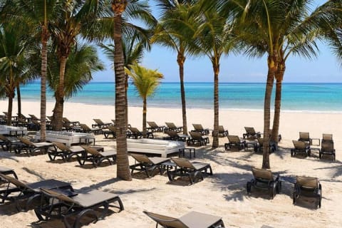Full day pass & brunch in the best Beach Club in the Riviera Maya — photo 10