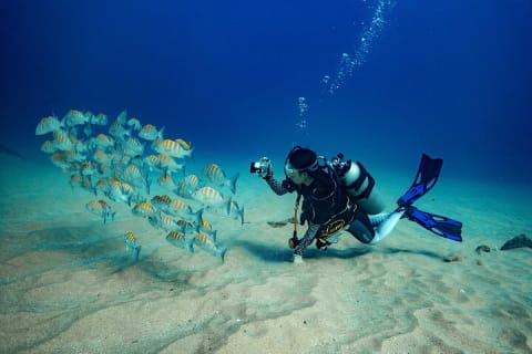 Descubre el buceo — photo 3