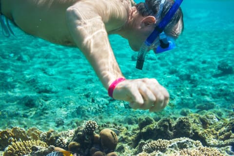 Snorkel and swim in Cozumel el Cielo Reef, Palancar and Colombia — photo 9