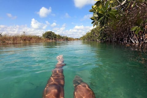 Tulum Guided Scooter Tour, Muyil Ruins, Boat Eco, Float Down Mayan Canals Lunch — photo 9
