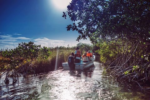 Tulum Guided Scooter Tour, Muyil Ruins, Boat Eco, Float Down Mayan Canals Lunch — photo 6