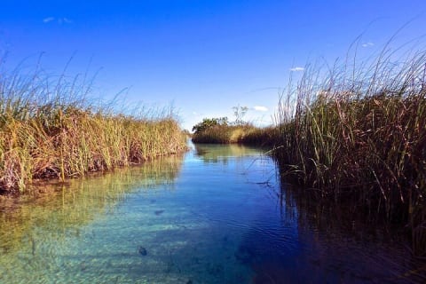 Tulum Guided Scooter Tour, Muyil Ruins, Boat Eco, Float Down Mayan Canals Lunch — photo 10