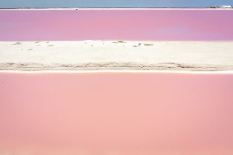 Paradisiacal tour: Las Coloradas Pink Lake and Rio Lagartos with Lunch included. — photo 10