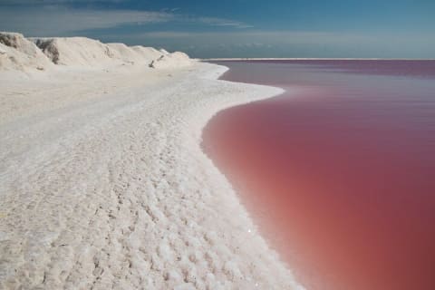 Paradisiacal tour: Las Coloradas Pink Lake and Rio Lagartos with Lunch included. — photo 11