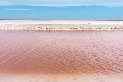 Paradisiacal tour: Las Coloradas Pink Lake and Rio Lagartos with Lunch included. — photo 12