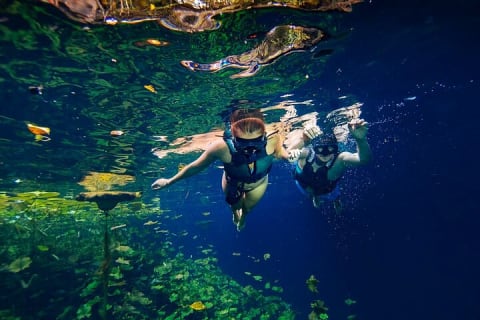 Tour Xenotes Advenure From Cancun & Playa del Carmen — photo 13