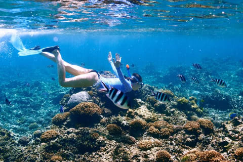 El Cielo the Breathtaking Snorkel Tour of Cozumel Cielito Beach & Lunch Included — photo 3