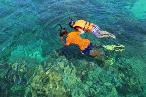 El Cielo the Breathtaking Snorkel Tour of Cozumel Cielito Beach & Lunch Included — photo 8