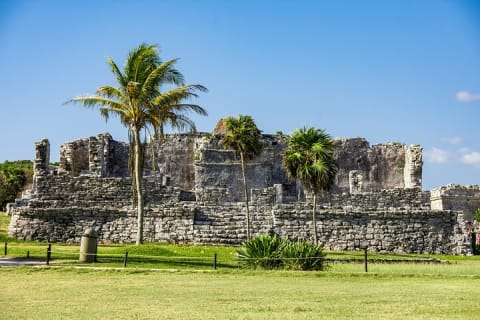 Explore Mayan Ruins Tulum & Coba, a cenote & Playa del Carmen — photo 9