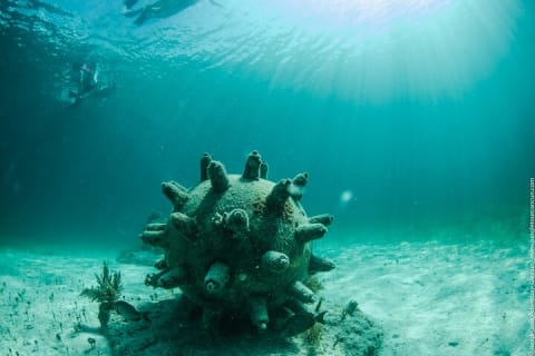 Breathtaking experience driving a speedboat in Cancun with Snorkeling included — photo 15