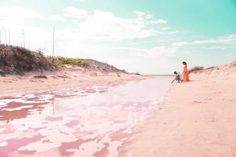 Magical Tour Las Coloradas Natural Pink Lagoon from Riviera Maya — photo 2