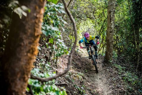 SINGLETRACK MOUNTAIN BIKE - Guided through the jungle — photo 3