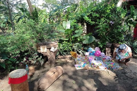 Excursion Aldea Maya,Tulum& Coba, Cenote only from Tulum — photo 15