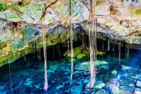 Magical adventure to Tulum, a giant sculpture and cenotes. Lunch included — photo 8