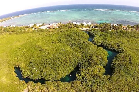 Discovering Breathtaking Cenotes in Tulum — photo 1