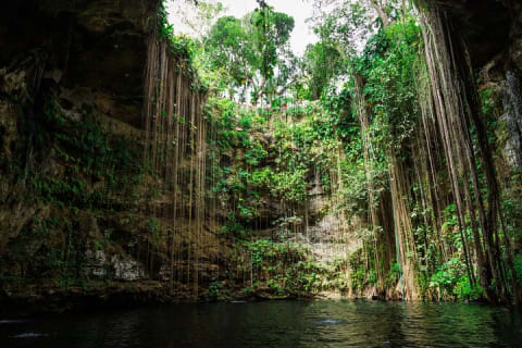 Explore Chichen Itza & live this magical tour. 2 Cenotes & Valladolid included. — photo 14