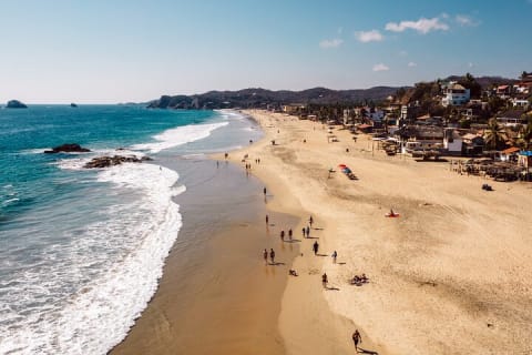 Wildlife Eco Tour on the coast of Oaxaca. — photo 14