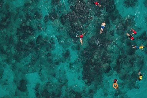 El Cielo the Breathtaking Snorkel Tour of Cozumel Cielito Beach & Lunch Included — photo 4