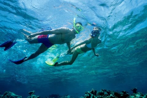 El Cielo the Breathtaking Snorkel Tour of Cozumel Cielito Beach & Lunch Included — photo 7